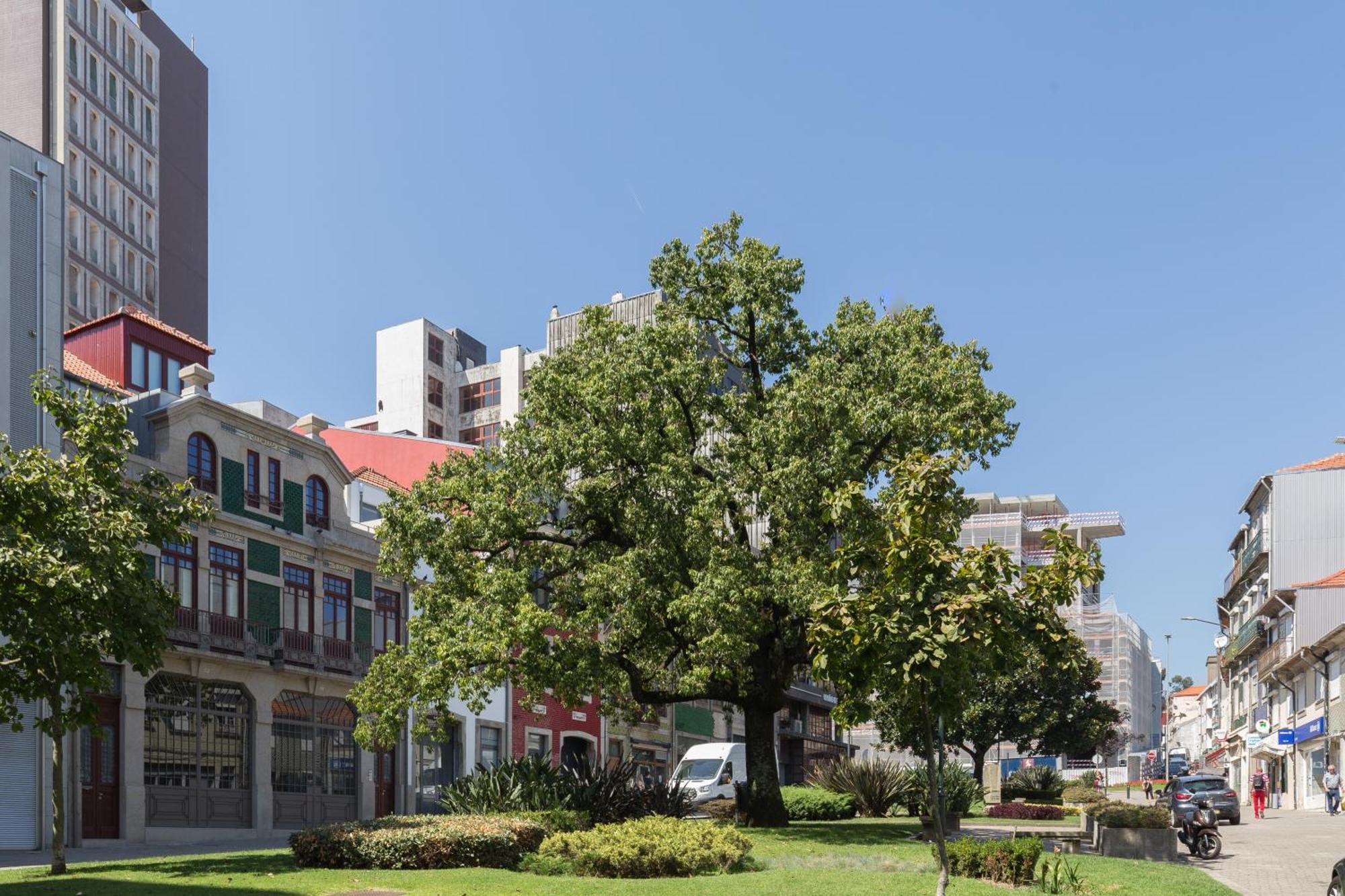 Qp Apartments Trindade 포르투 외부 사진